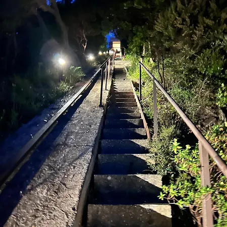 Alta Benat Bormes-les-Mimosas